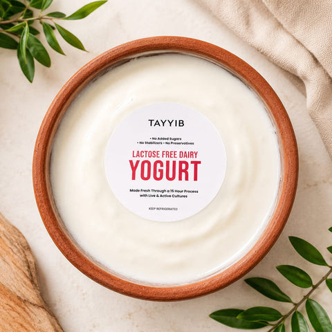 Lactose Free Dairy Yogurt - Tayyib Store - TAYYIB - Lahore
