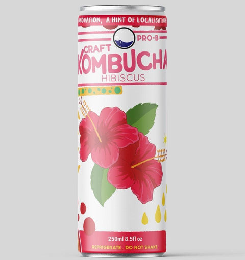 Pro-B Kombucha Hibiscus 250ml - Tayyib Store - Pro-B - Lahore