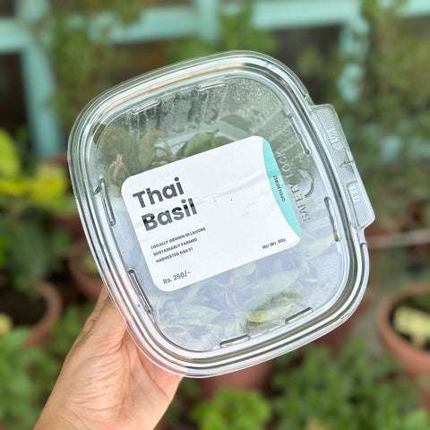 Thai Basil 50g - Tayyib Store - Tayyib Foods - Lahore