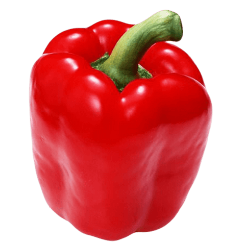 Capsicum Red - TAYYIB - Tayyib Store - Lahore