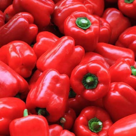 Capsicum Red - TAYYIB - Tayyib Store - Lahore