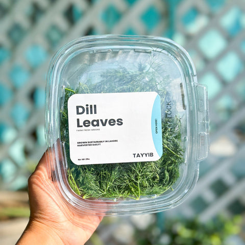 Dill Leaves 25g - Tayyib Store - Tayyib Store - Lahore