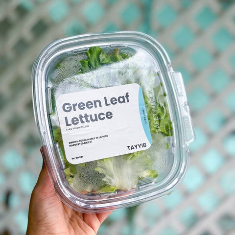 Green Leaf Lettuce 90g - Tayyib Store - Tayyib Store - Lahore