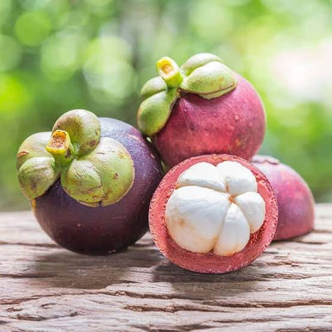 Mangosteen - Tayyib Store - Tayyib Store - Lahore
