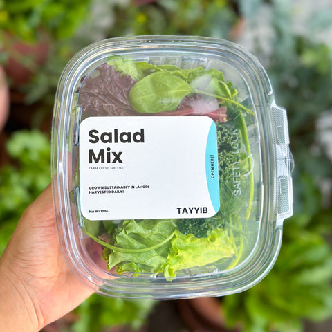 Salad Mix 100g - Tayyib Store - Tayyib Store - Lahore