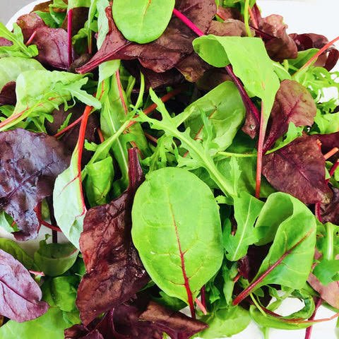 ZG Salad Mix - TAYYIB - Zeez Garden - Lahore
