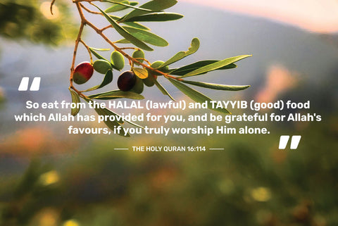 The True Meaning of "Tayyib": Beyond Halal to Holistic Wellness - Tayyib Store