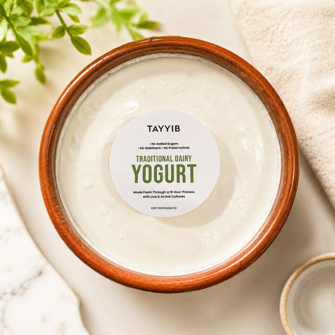 Fresh Yogurt 450g - Tayyib Store - Tayyib Foods - Lahore