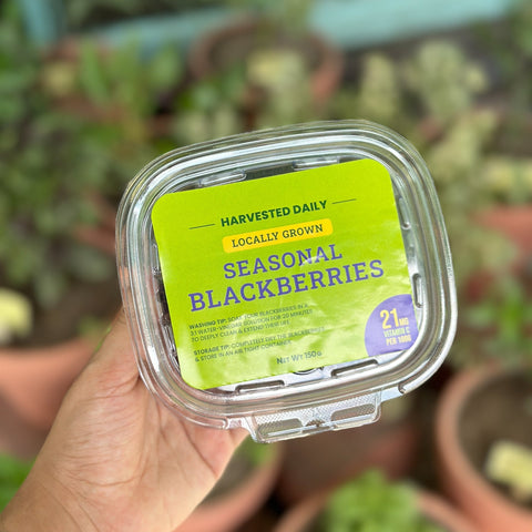 Local Blackberries 150g - Tayyib Store - Tayyib Foods - Lahore