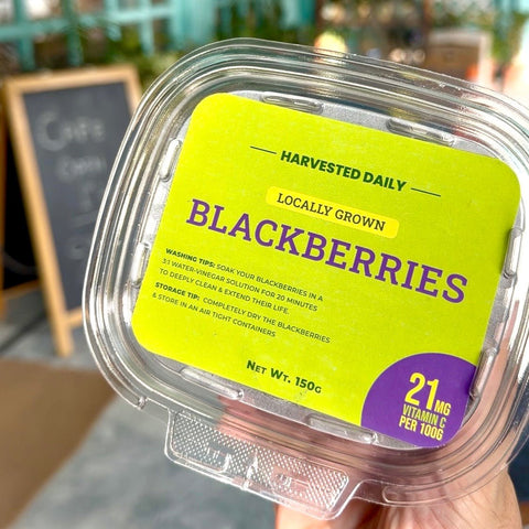 Local Blackberries 150g - Tayyib Store - Tayyib Foods - Lahore