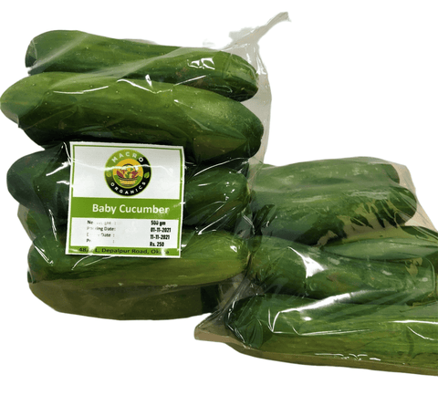 MO Baby Cucumber 500g - Tayyib Store - Macro Organics - Lahore